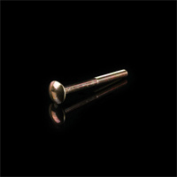 brass Mushroom Carriage Bolt Grade 4.8 DIN603,M 12 /16