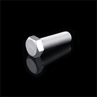 High Strength Hexagon Bolts  Grade 4.8