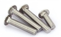 Carriage Bolt