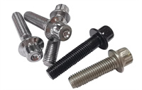 12 Point Flange Screw