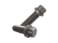 12 Point Flange Screw