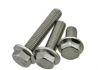 Hex Flange Bolt