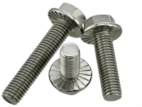 Hex Flange Bolt