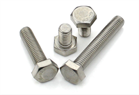 Hex Bolt