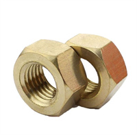 Hex Nut