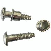 Rivet Lock Bolt