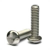 Security Screw