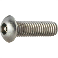 Security Screw