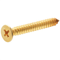 Sheet Metal Screw